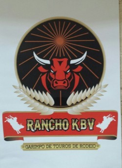 Adesivo de carro